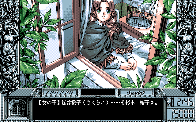 同級生２ for NEC PC-9801VM/UV以降 (C)1995 エルフ